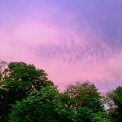 半岛综合APP下载截图