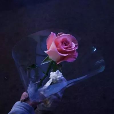 半岛综合APP下载